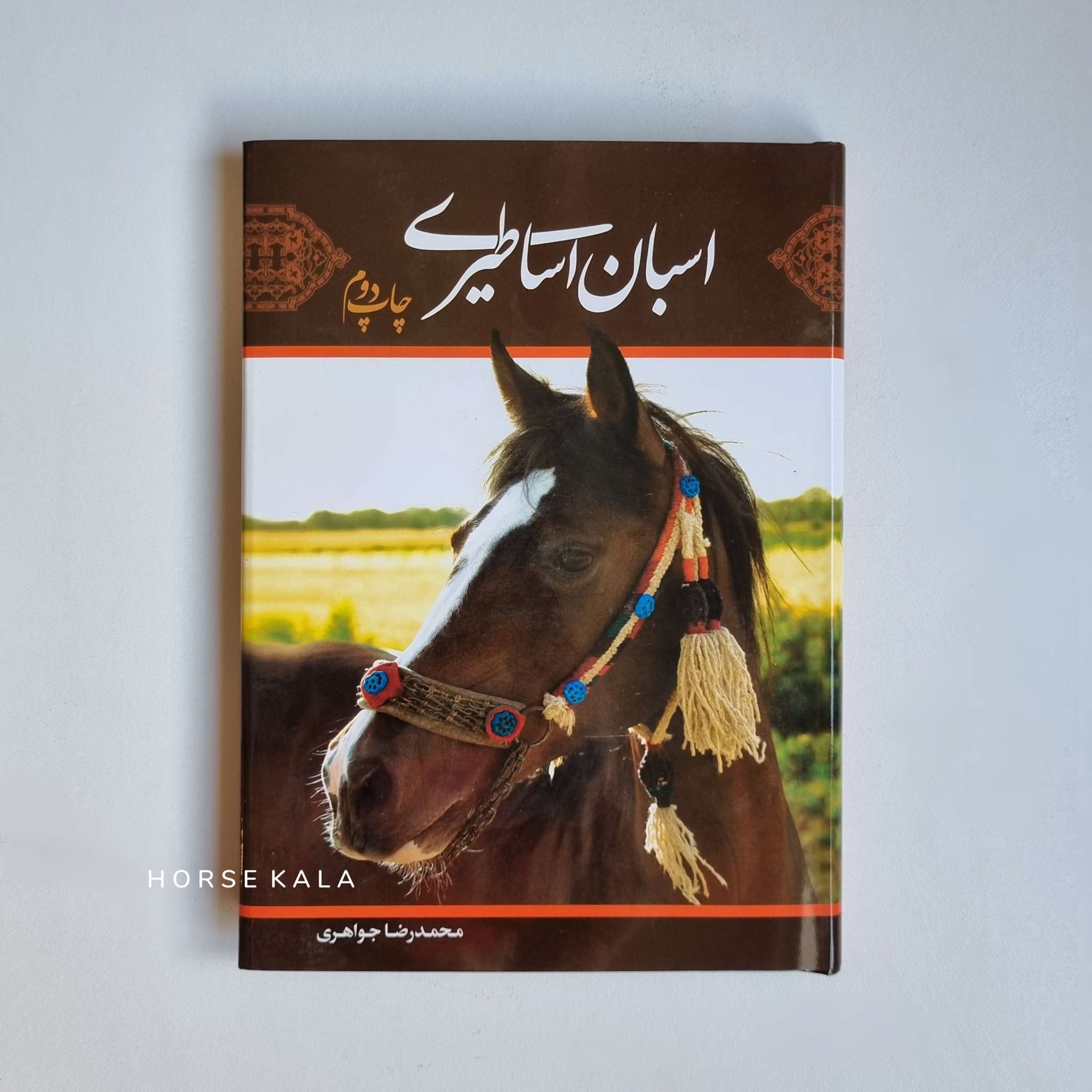 Mythical horses Book