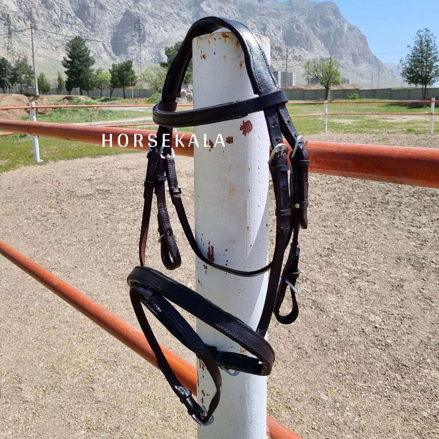 افسار آناتومیک فلش نوزبند چرمی Leather Flash Noseband Anatomic Bridle