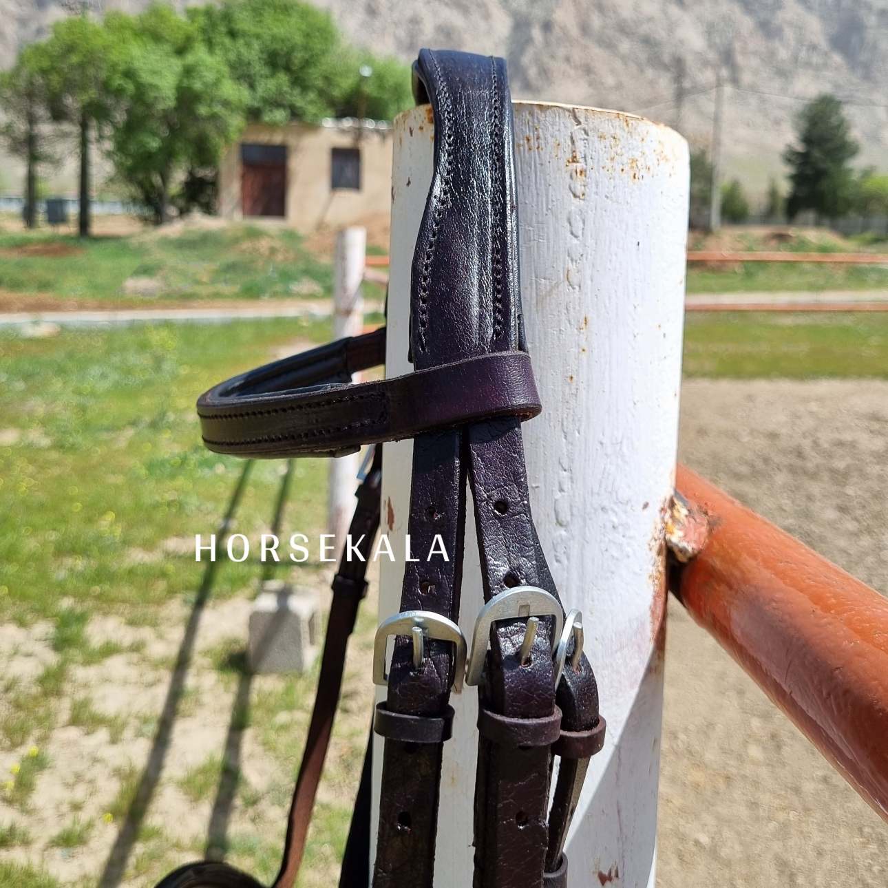 2-افسار آناتومیک فلش نوزبند چرمی