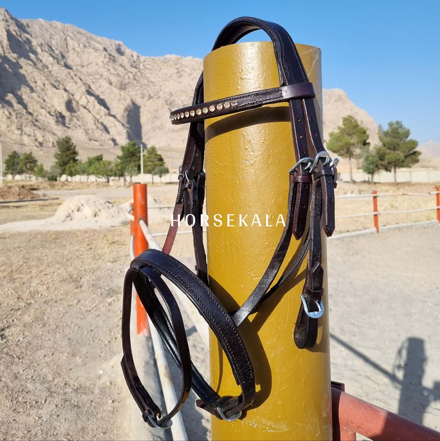 Leather Anatomic Bridle With Stone