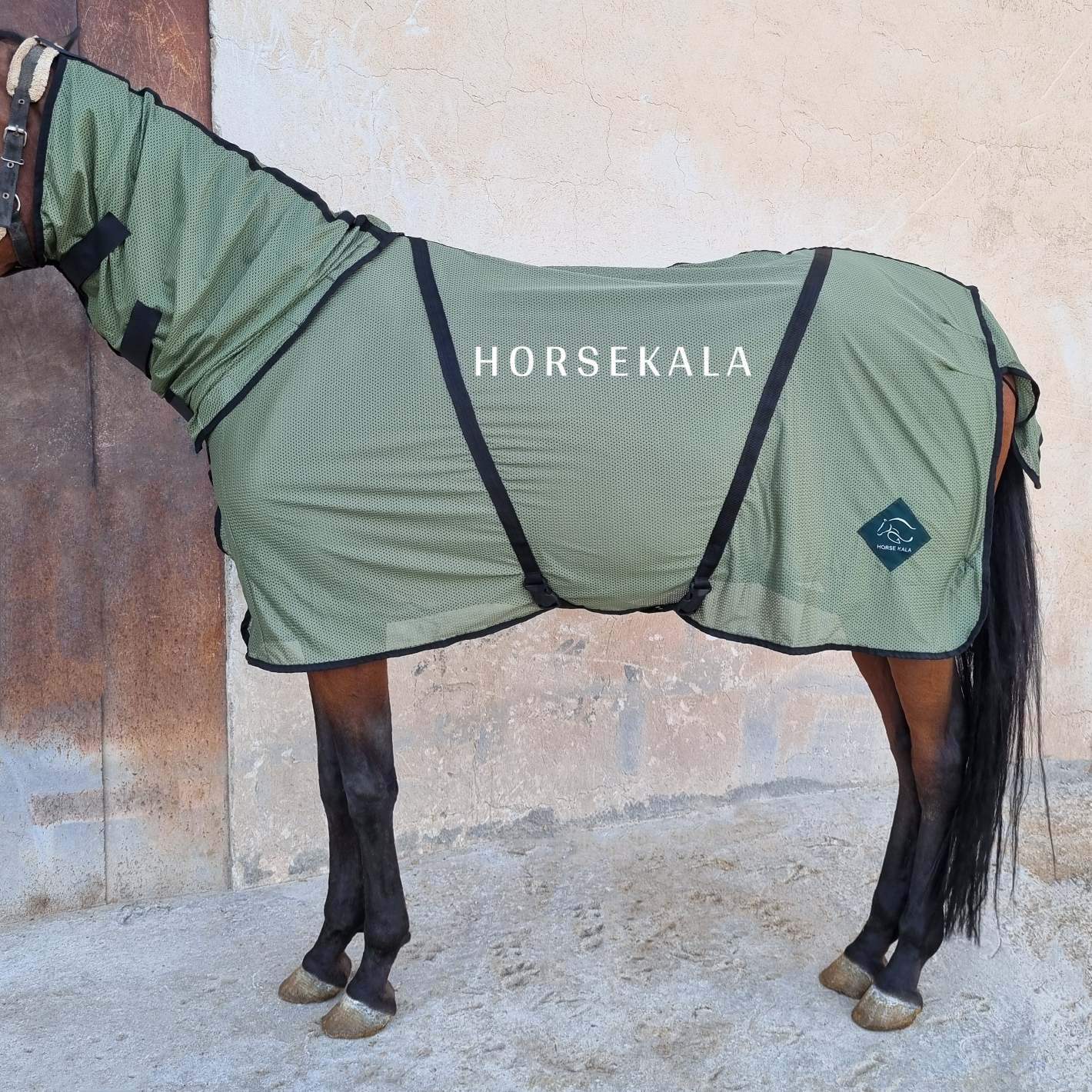 جل توری فول کاور Full cover mesh Fly Sheet