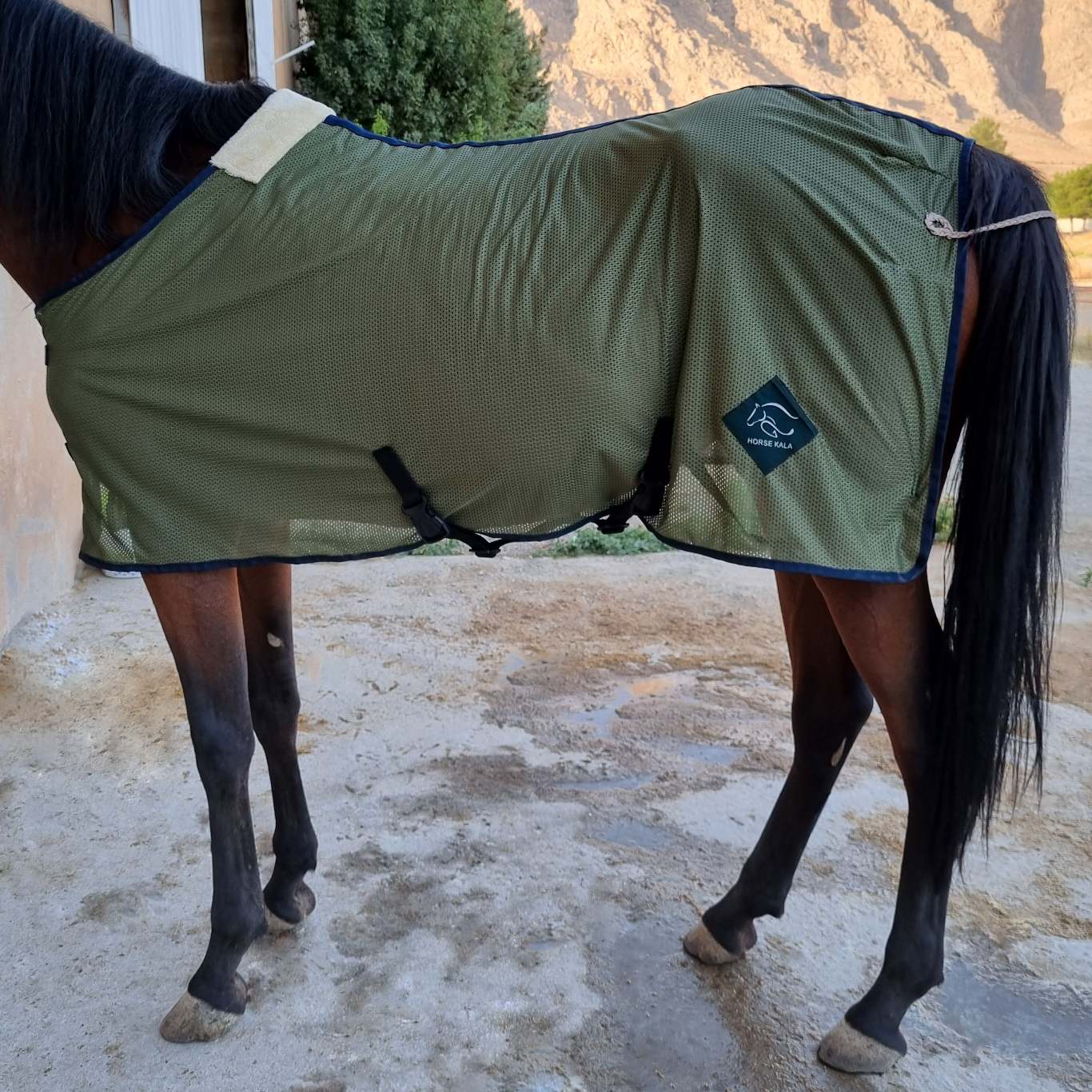 جل توری Mesh Fly Sheet