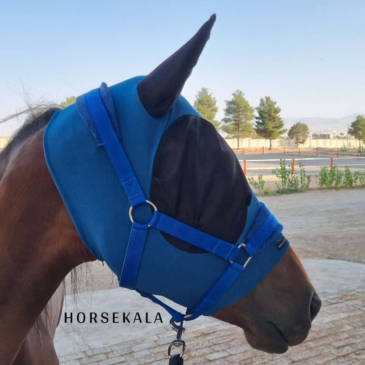 Fly mask