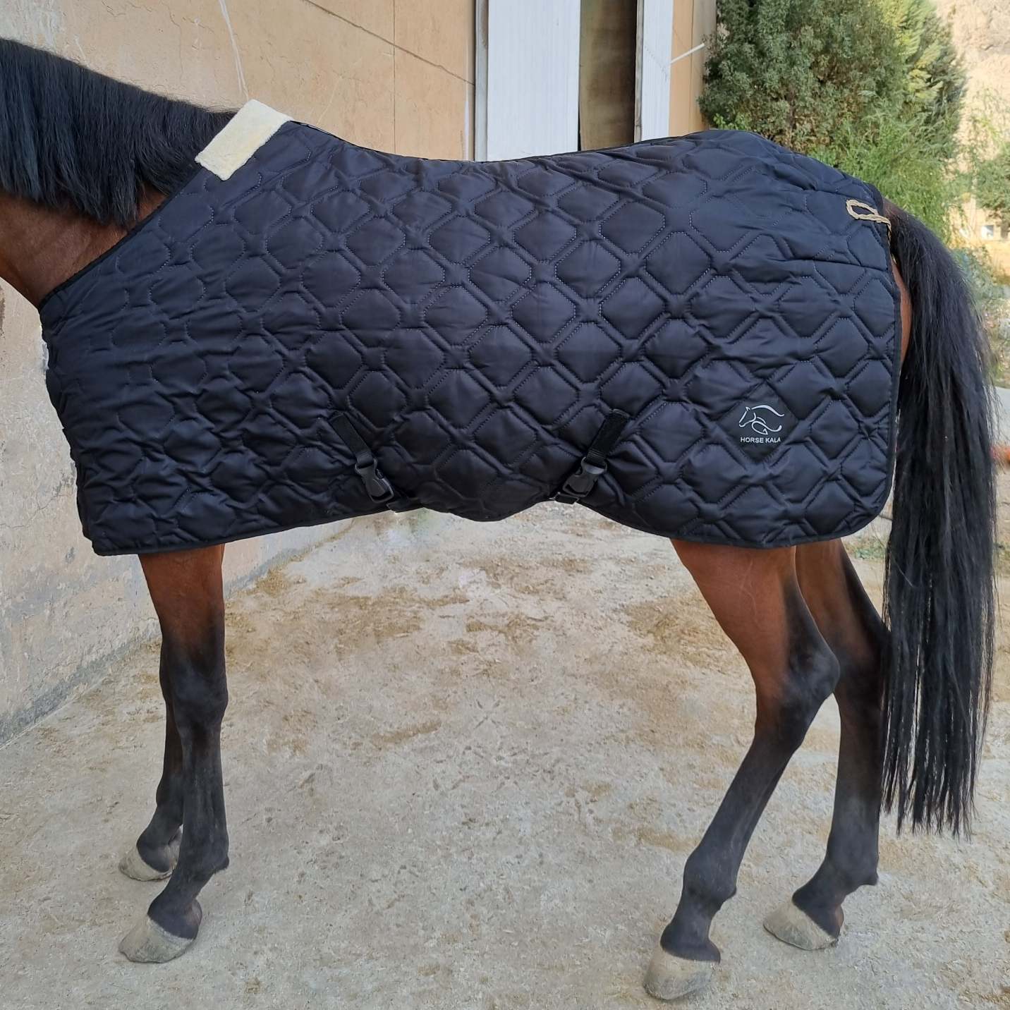 جل زمستانی Winter rug