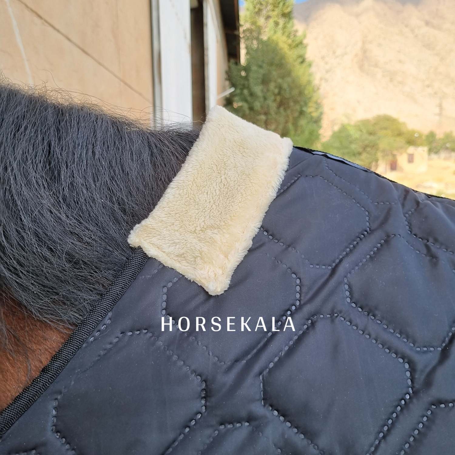 1-جل زمستانی
