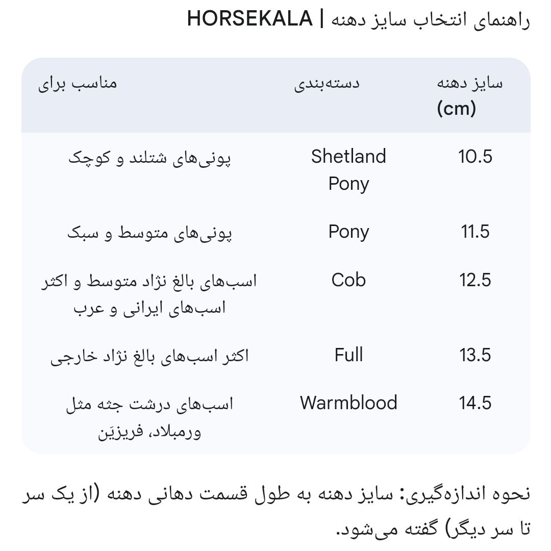 1-دهنه سیلمی